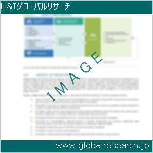 グローバルリサーチ調査レポートのイメージ